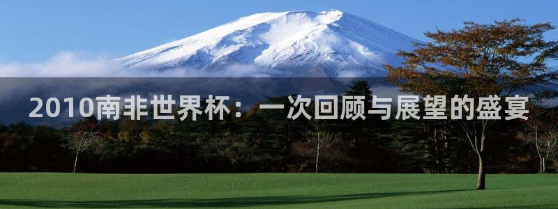 欧洲世界杯预选赛：2010南非世界杯：一次回顾与展望的盛宴