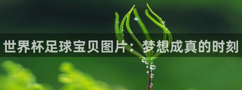 免费看足球直播比赛：世界杯足球宝贝图片：梦想成真的时刻