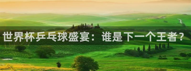世界杯2026赛程：世界杯乒乓球盛宴：谁是下一个王者？