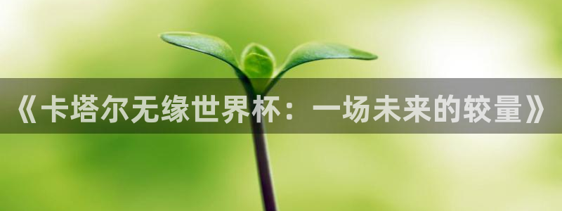 2026世界杯中国队：《卡塔尔无缘世界杯：一场未来的较量》