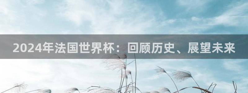 世界杯直播网站：2024年法国世界杯：回顾历史、展望未来