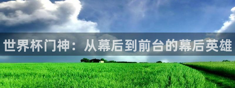2026年世界杯直播平台：世界杯门神：从幕后到前台的幕后英雄