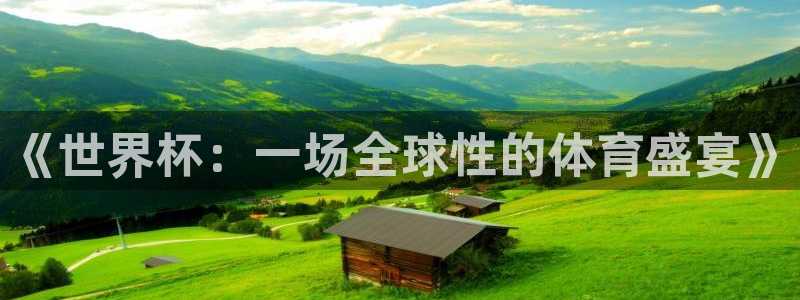 世预赛直播：《世界杯：一场全球性的体育盛宴》