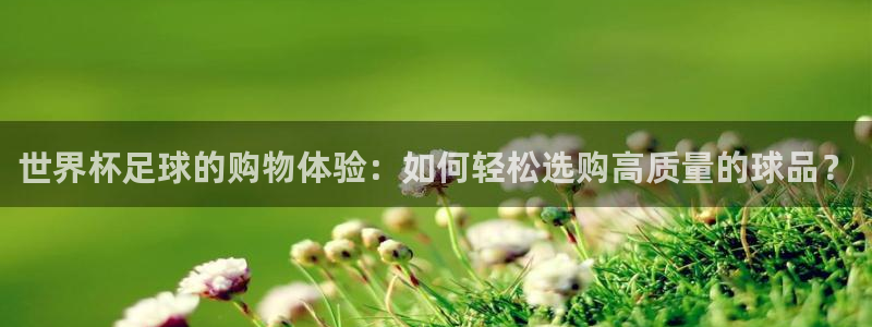 世界杯足球直播：世界杯足球的购物体验：如何轻松选购高质量的球品？