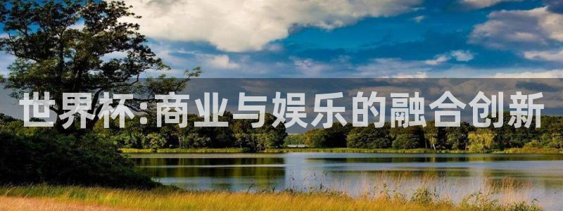 世界杯 中国：世界杯:商业与娱乐的融合创新