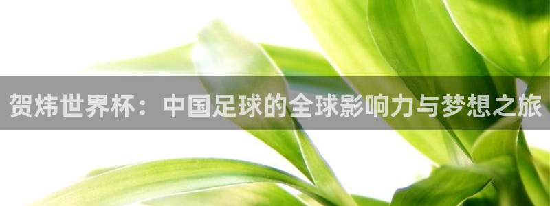 葡萄牙世界杯赛程：贺炜世界杯：中国足球的全球影响力与梦想之旅