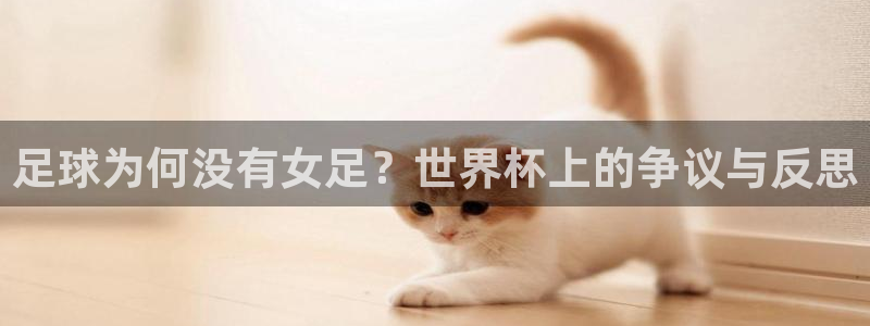 足球杯：足球为何没有女足？世界杯上的争议与反思