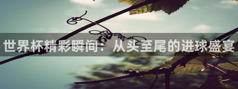世界杯亚洲区预选赛赛程：世界杯精彩瞬间：从头至尾的进球盛宴