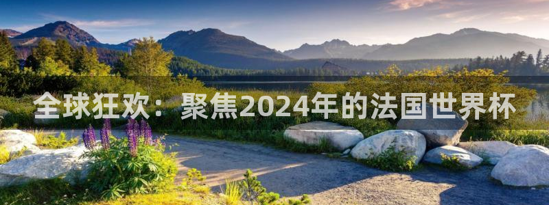 葡萄牙世界杯赛程：全球狂欢：聚焦2024年的法国世界杯
