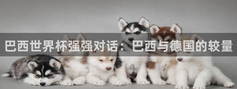 世界杯球队排名：巴西世界杯强强对话：巴西与德国的较量
