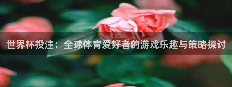 世界杯视频：世界杯投注：全球体育爱好者的游戏乐趣与策略探讨